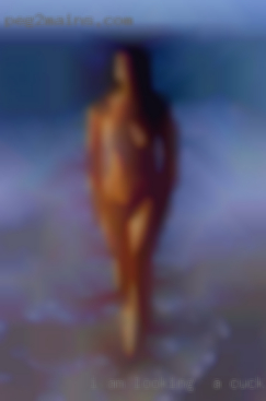 I Am looking for a cuckold NOT here to text BOTS / FAKES.