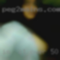 Im   looking for Casual CT over 50 hookups.